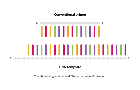 Traditional primer